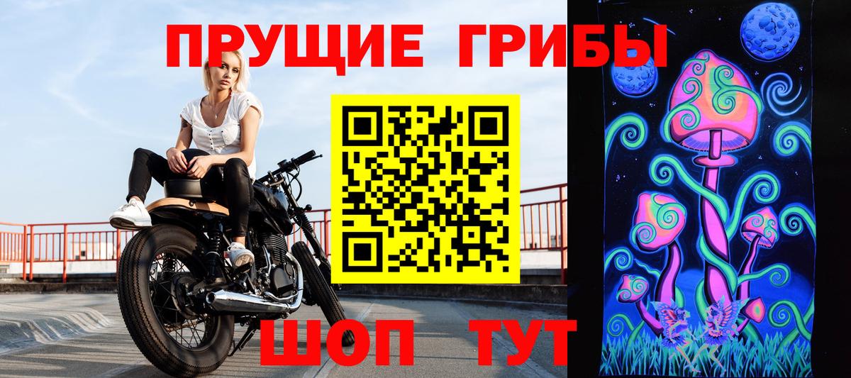 Псилоцибиновые грибы мицелий Баксан