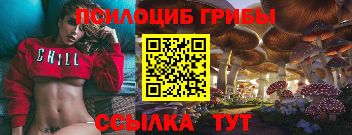 Баксан  Галлюциногенные грибы MAGIC MUSHROOMS  Вход с VPN  Псилоцибиновые грибы Cubensis 