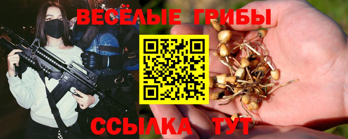 Псилоцибиновые грибы Cubensis Баксан